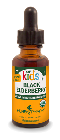 KIDS BLACK ELDERBERRY ALCOHOL FREE 1 fl oz