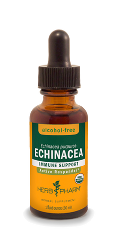 ECHINACEA ALCOHOL FREE 1 fl oz