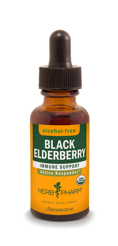 BLACK ELDERBERRY ALCOHOL FREE 1 fl oz