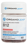 B12 Methylcobalamin 60 Gummies