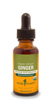 GINGER 1 fl oz