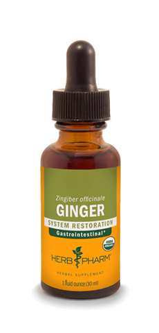 GINGER 1 fl oz