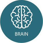 Precision Foundational Brain Support Protocol